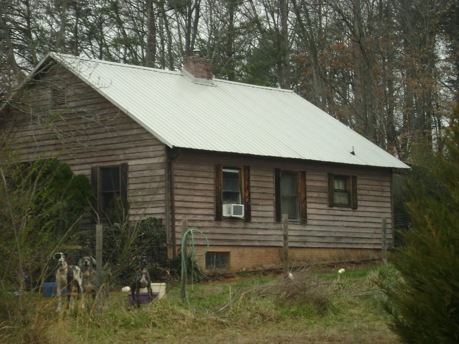 White metal roof on an old wood sided farmhouse, from a Asphalt Shingle Roof Repair job in Hiwassee